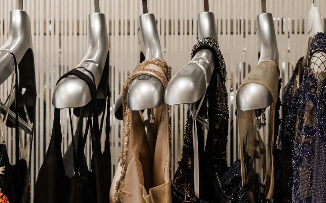 Article 4 Loren Ipsum