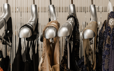 Article 4 Loren Ipsum