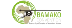 Bamako Convention
