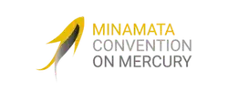Minamata Convention